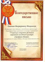 Благодарственное письмо Ростовского союза детских и молодежных организаций
